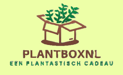 PlantBoxNL
